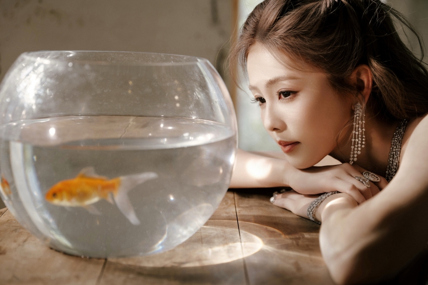 在树林里  莫泊桑