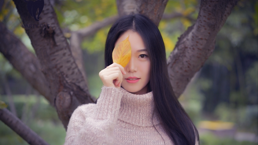 结绳记事：白桦先生   于坚