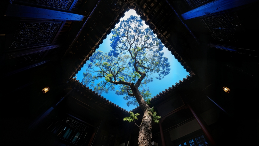煤堆   海子